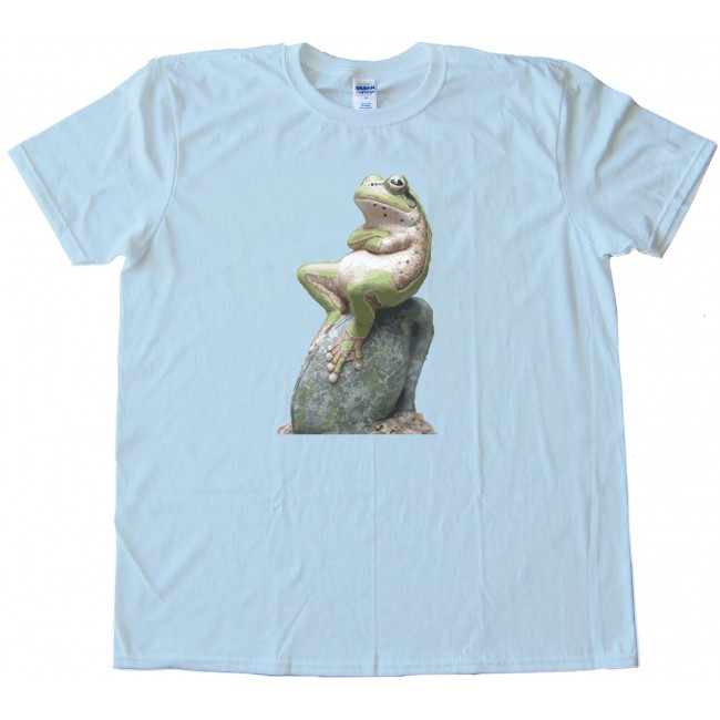 boys frog shirt