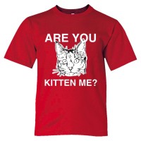 Youth Sized Are You Kitten Me? Cat Person - Tee Shirt