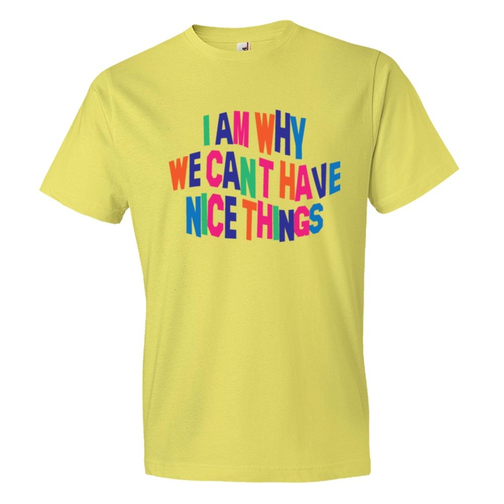 I Am Why We Can'T Have Nice Things - Tee Shirt