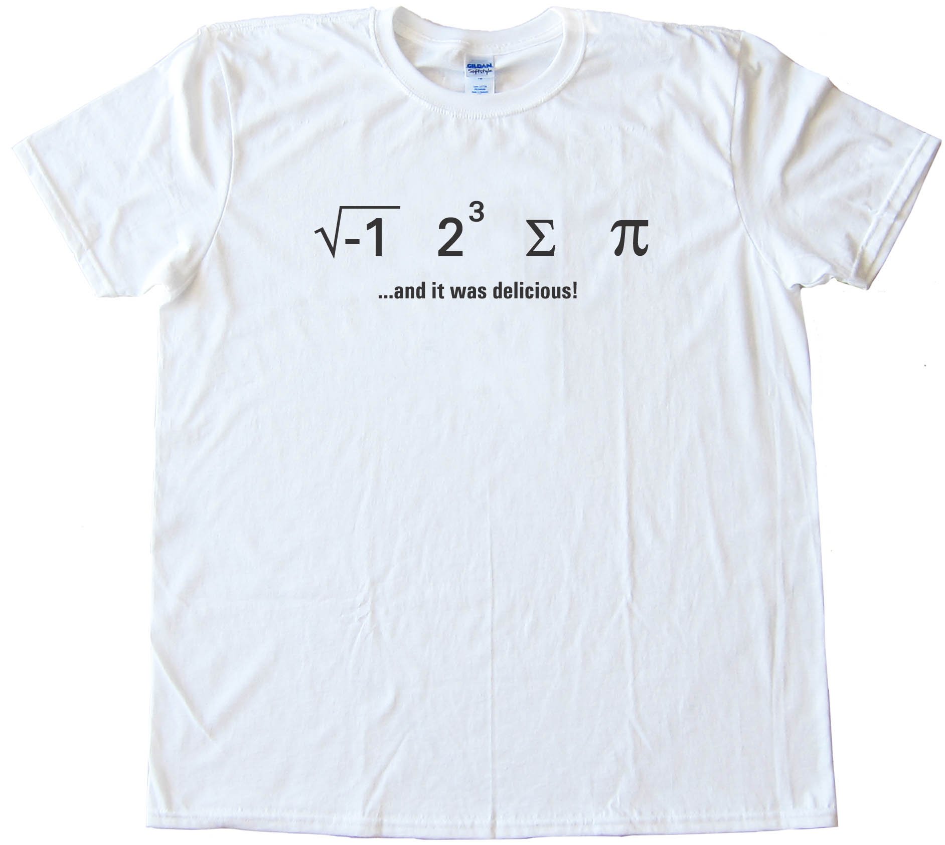 I Ate Sum Pi - And It Was Delicious - Math Nerd - Tee Shirt