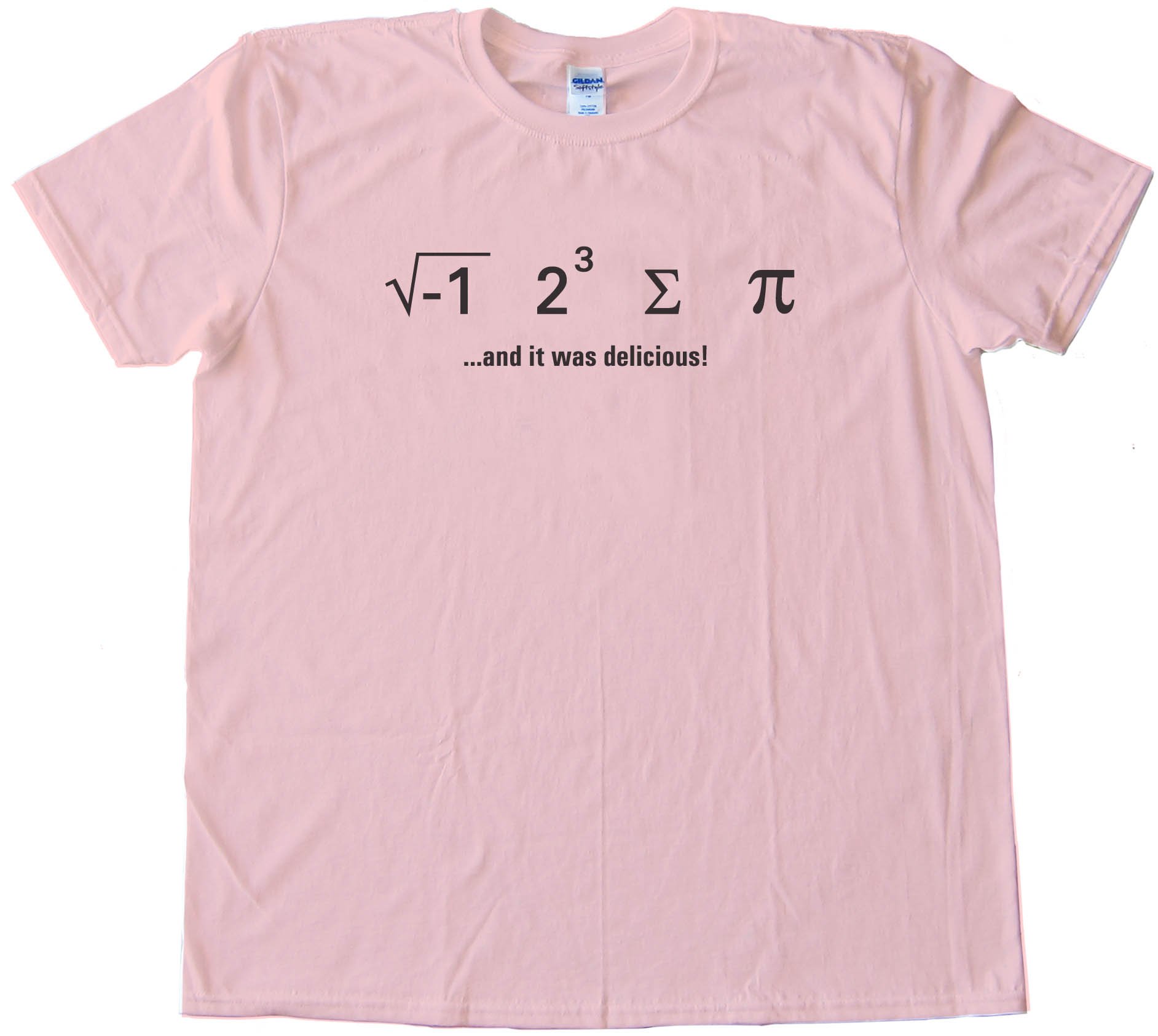 I Ate Sum Pi - And It Was Delicious - Math Nerd - Tee Shirt