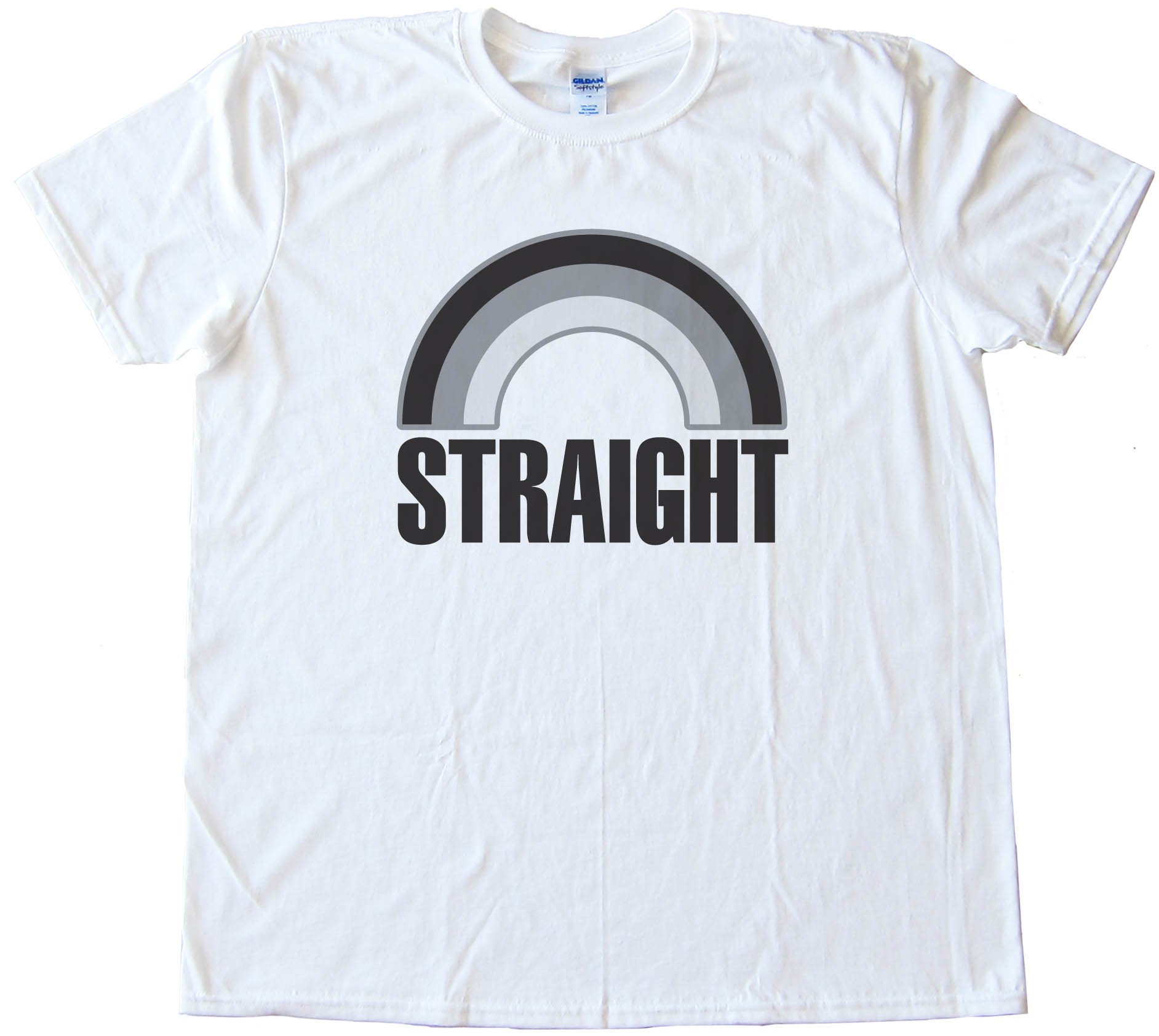 Straight Grey Rainbow - Not Gay - Tee Shirt