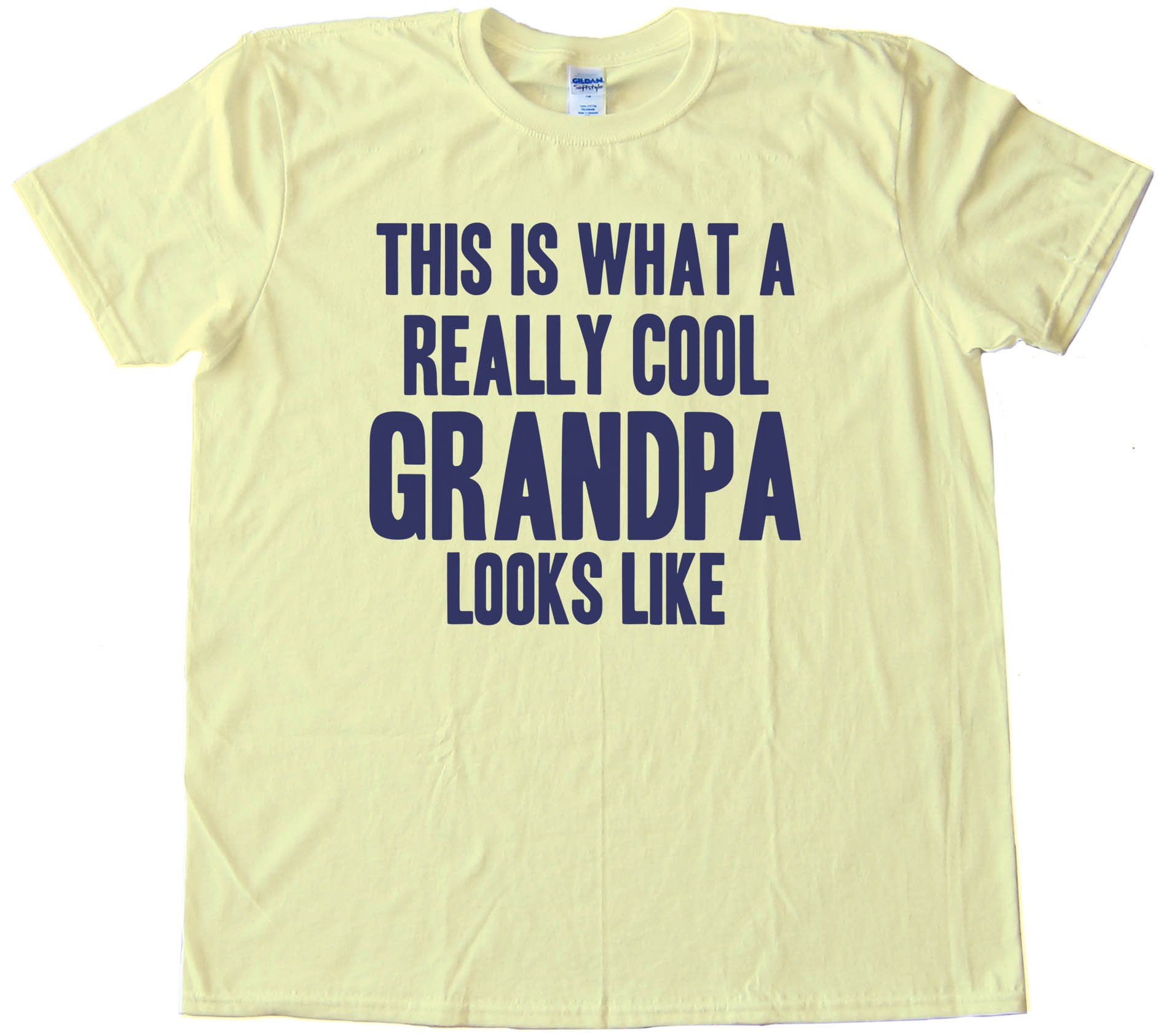 Big Text This Is What A Really Cool Grandpa Looks Like - Tee Shirt