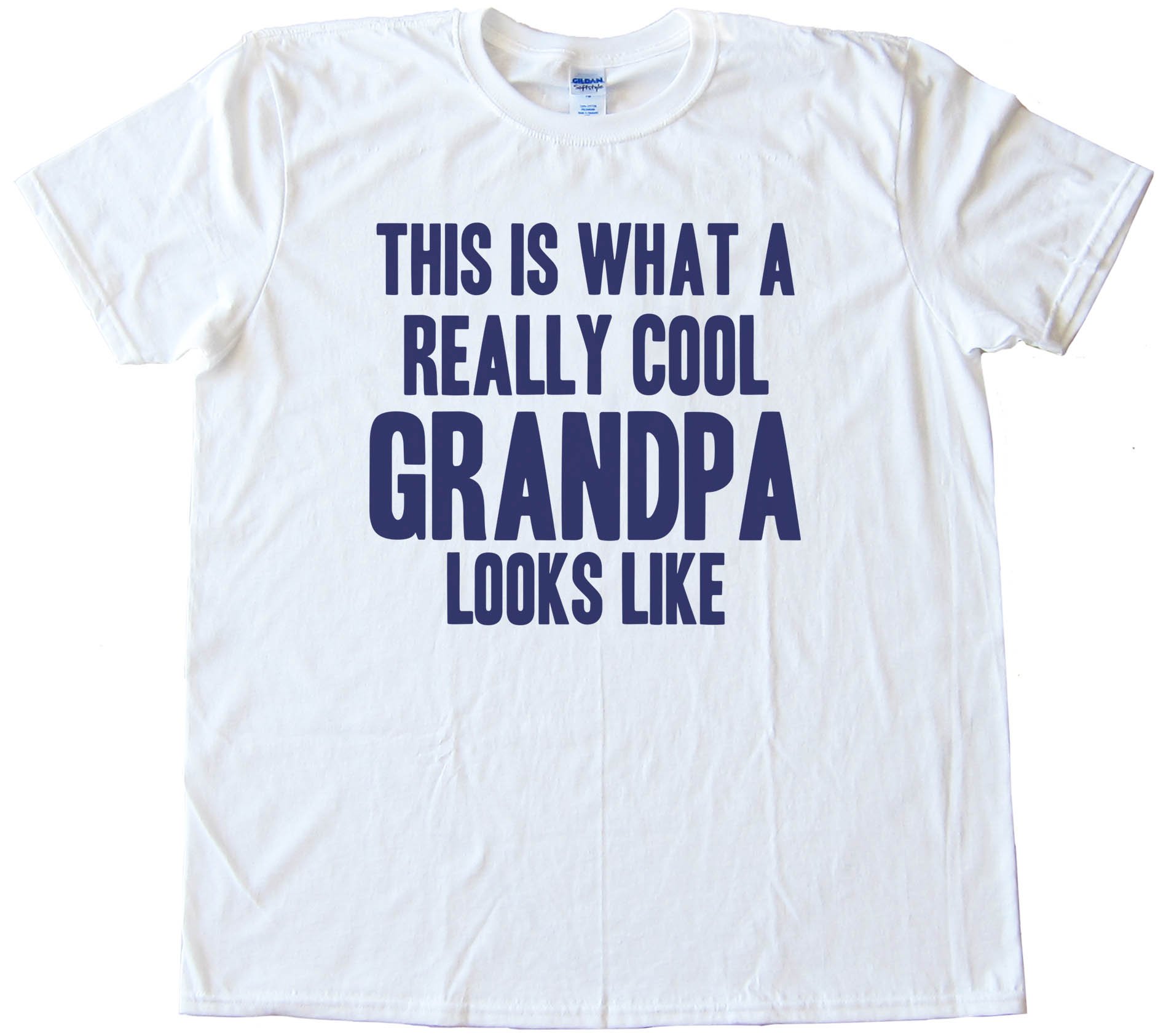 Big Text This Is What A Really Cool Grandpa Looks Like - Tee Shirt