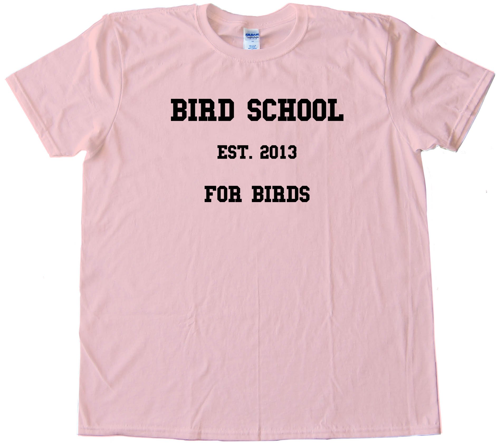 Bird School For Birds Tee Shirt