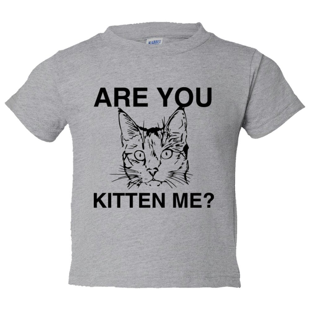 Toddler Sized Are You Kitten Me? Cat Person - Tee Shirt Rabbit Skins